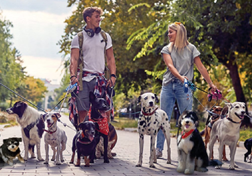 WA_22084_Uncle-Sam-Wants-to-Know-About-Your-Gig-Income